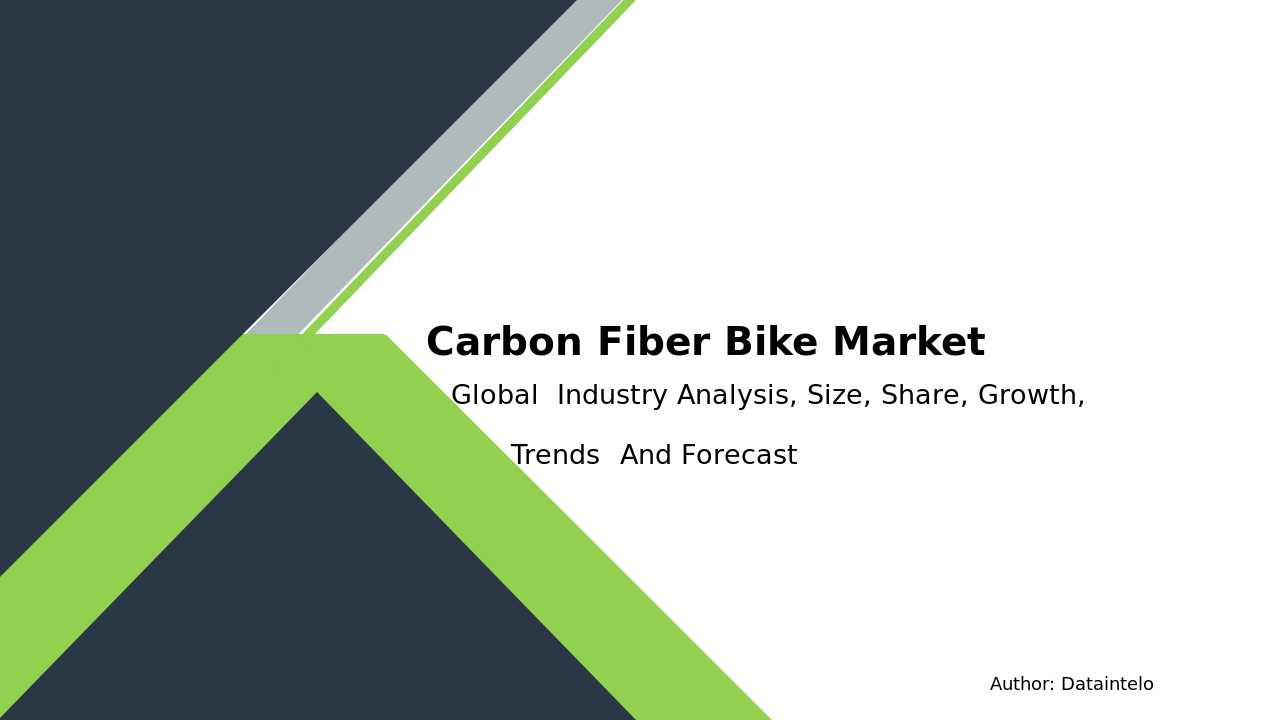 Carbon Fiber Bike Market Report | Global Forecast From 2025 To 2033